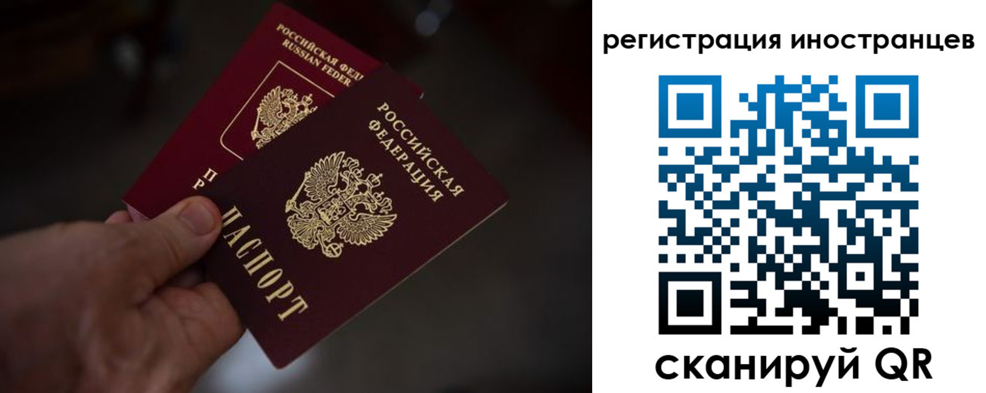 прописка поиск в Вышнем Волочке